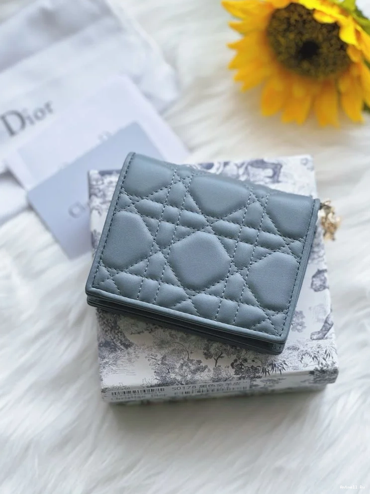 Dior Purse Wallets 46710 WeatherProof Christian 0725